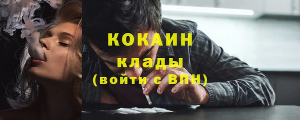 стафф Алексин