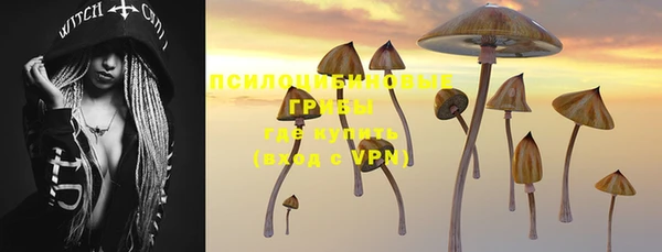 a pvp Алексеевка