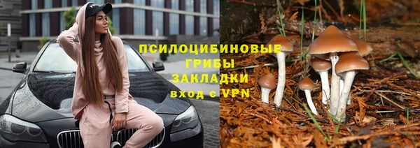 a pvp Алексеевка