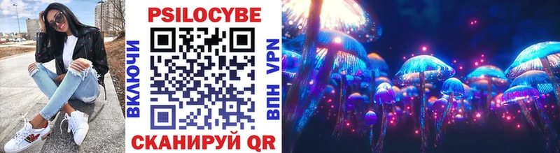 Галлюциногенные грибы Psilocybe  Нолинск 